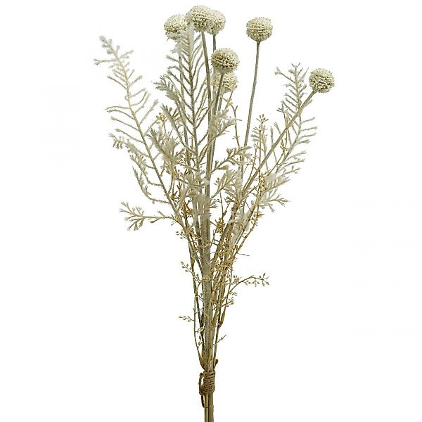 Kunstblume Trockengräser künstlich Pampasgras Allium Creme günstig online kaufen
