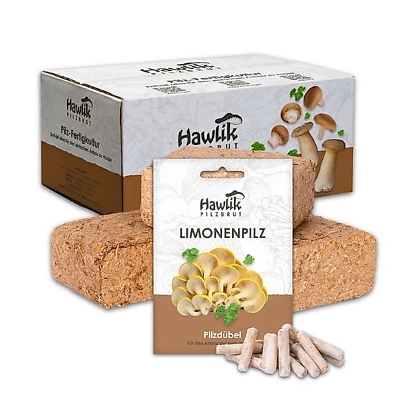 Hawlik Pilzbrut Limonenpilz Pilzbeet-Set für Einfache Pilzzucht Im Garten m günstig online kaufen