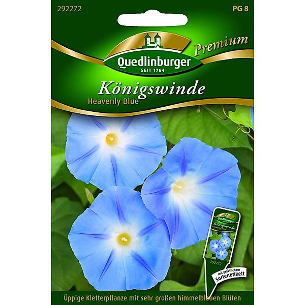 Quedlinburger Königs Winde ''Heavenly blue'' günstig online kaufen