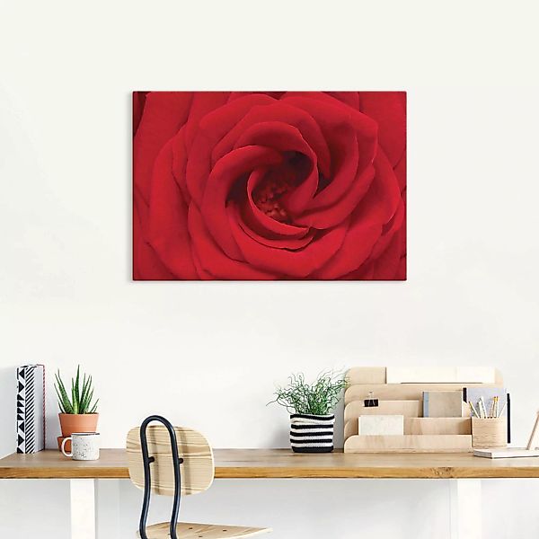 Artland Wandbild »Rote Rose«, Blumen, (1 St.) günstig online kaufen