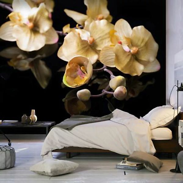 artgeist Fototapete Orchids in ecru color mehrfarbig Gr. 200 x 154 günstig online kaufen