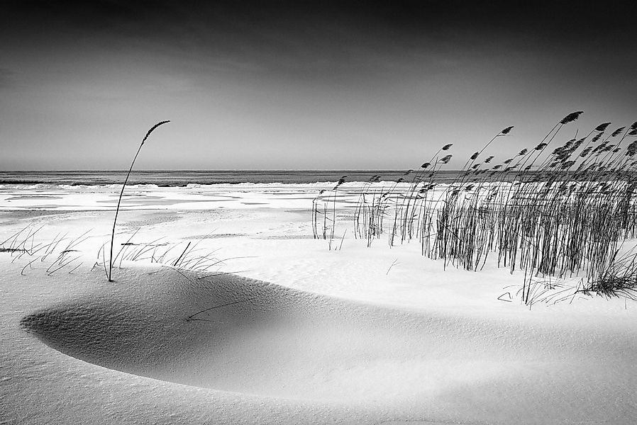 Papermoon Fototapete "Photo-Art REINIS CÄªRULIS, ORCHESTER" günstig online kaufen