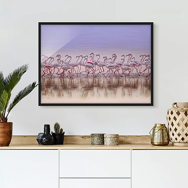Bild mit Rahmen Tiere - Querformat Flamingo Party günstig online kaufen