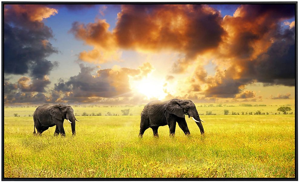 Papermoon Infrarotheizung »Afrikanische Elefanten«, sehr angenehme Strahlun günstig online kaufen