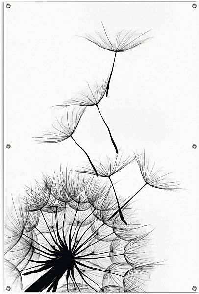 Reinders Poster "Pusteblume" leichtes und wasserfestes Gartenposter für den günstig online kaufen