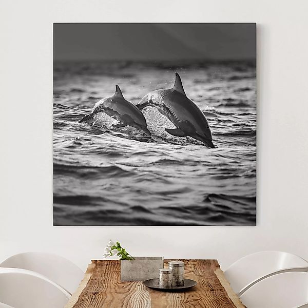 Leinwandbild Schwarz-Weiß - Quadrat Zwei springende Delfine günstig online kaufen