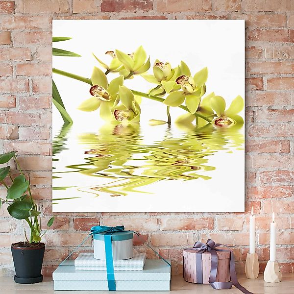 Leinwandbild Blumen - Quadrat Elegant Orchid Waters günstig online kaufen