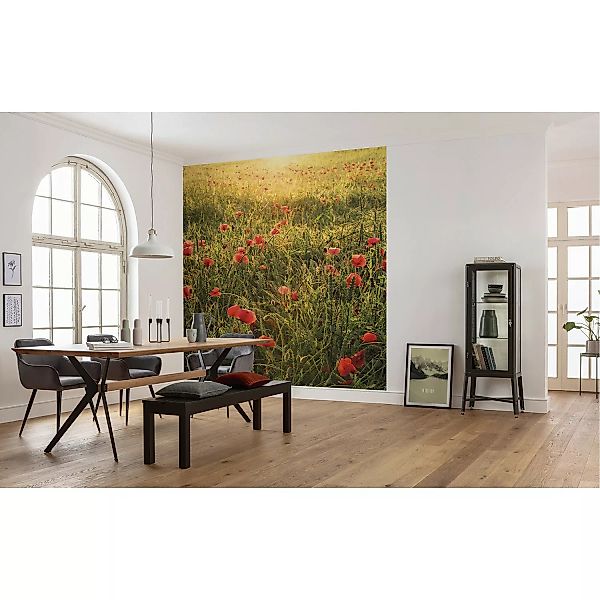 KOMAR Vlies Fototapete - Poppy World - Größe 250 x 280 cm mehrfarbig günstig online kaufen