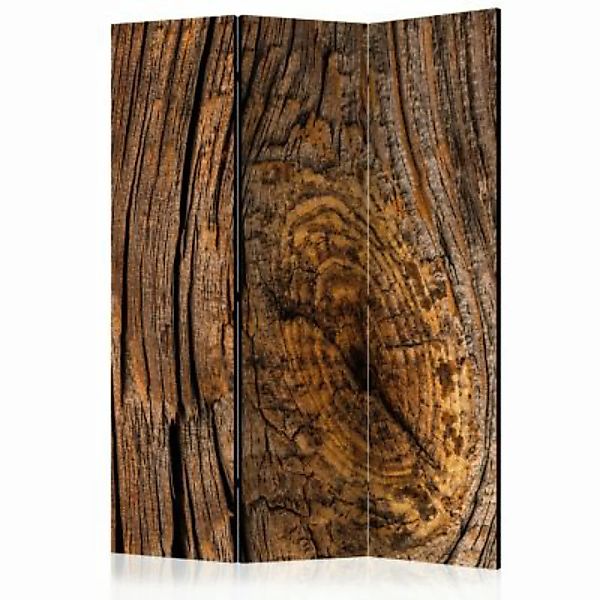 artgeist Paravent Old Tree [Room Dividers] braun Gr. 135 x 172 günstig online kaufen