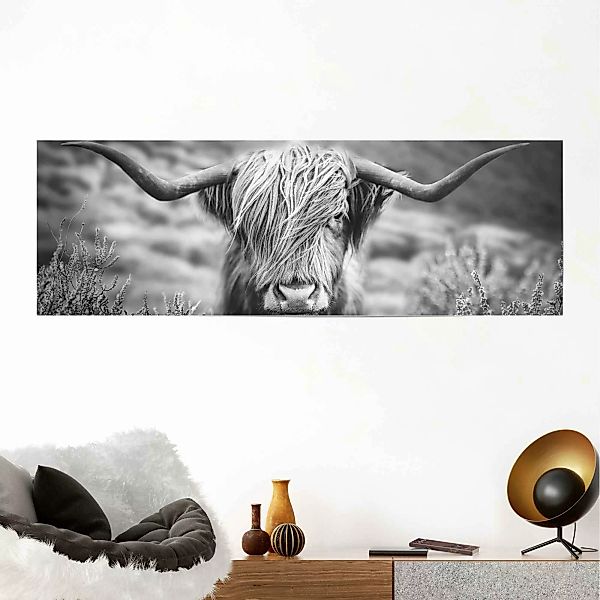 Reinders! Poster »Highlander Bulle Tiermotiv - Nahaufnahme - Hochlandrind B günstig online kaufen