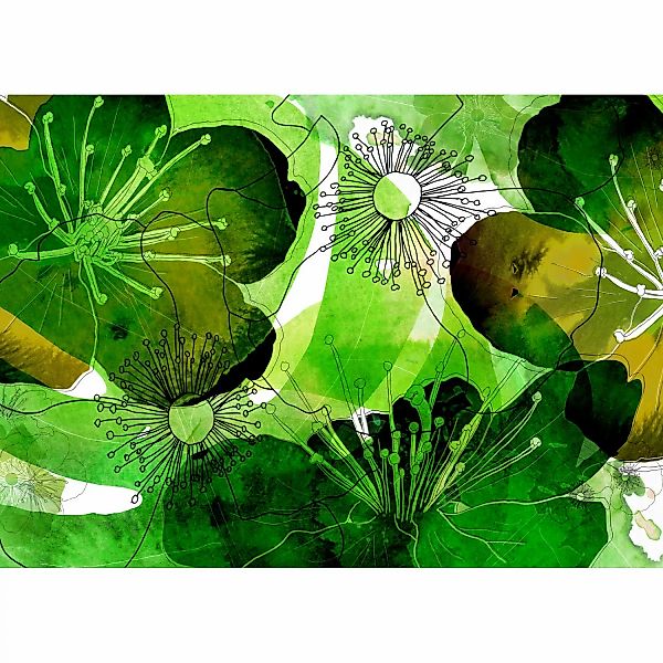 Komar Fototapete Vlies Aquarell   350 x 250 cm günstig online kaufen