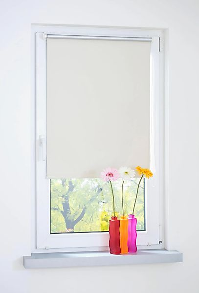 Liedeco Seitenzugrollo blickdicht energiesparend ohne Bohren günstig online kaufen