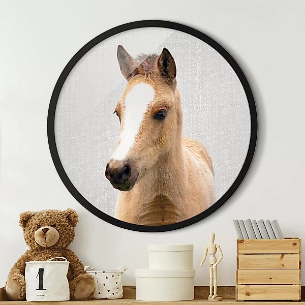 Rundes Gerahmtes Bild Baby Pferd Philipp günstig online kaufen