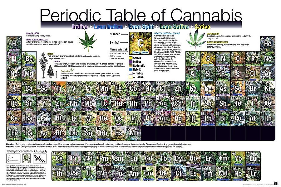 GB eye Poster Periodic Table Of Cannabis Periodensystem der Hanfsorten 91,5 günstig online kaufen
