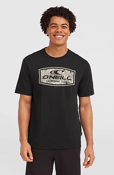 ONeill T-Shirt "ONEILL GRAPHIC T-SHIRT", (1 tlg.) günstig online kaufen
