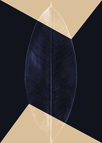 Komar Bild "Lotus Theatre" Natur 1 Stk. tlg. Wandbild zur Dekoration - ohne günstig online kaufen