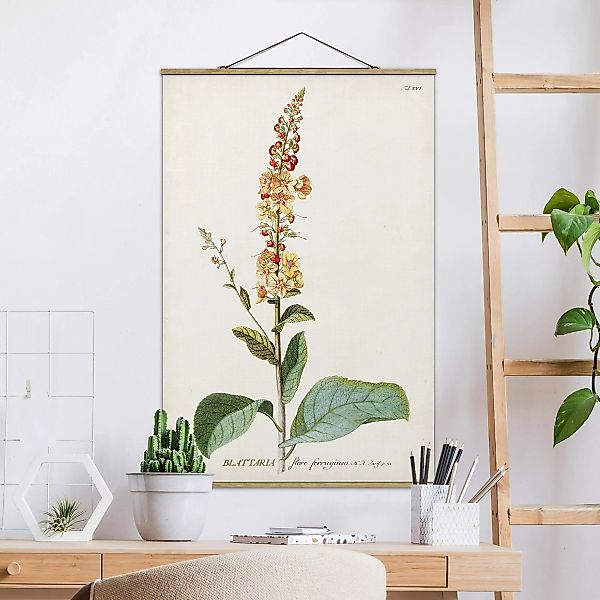 Stoffbild Blumen mit Posterleisten - Hochformat Vintage Botanik Illustratio günstig online kaufen