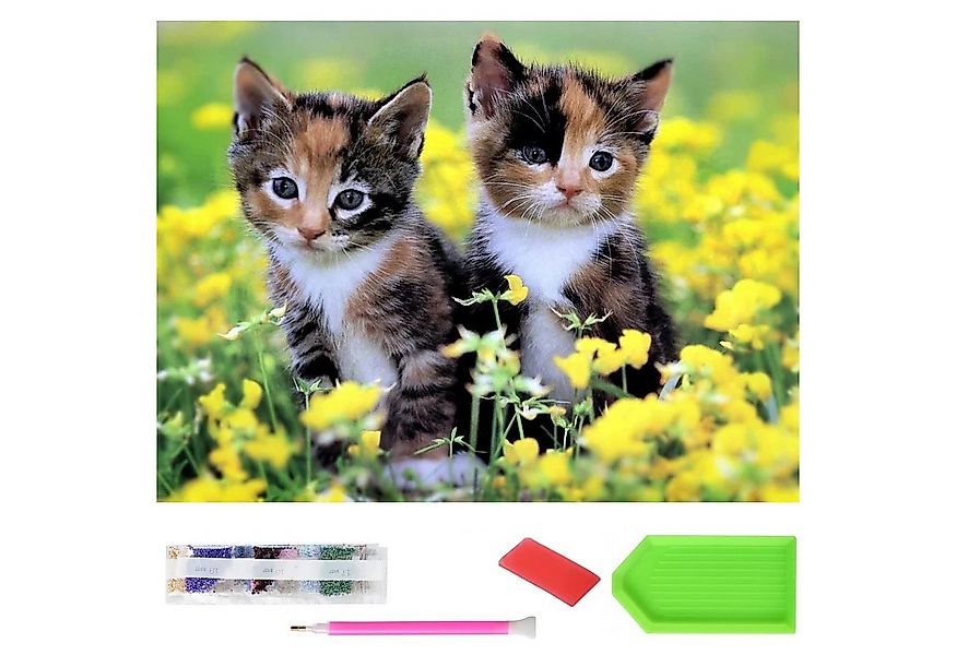 LA CUTE Malen nach Zahlen XXXL 5d Diamond Painting Baby Katze Malen nach Za günstig online kaufen