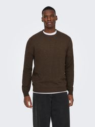 ONLY & SONS Strickpullover ONSLOUI REG günstig online kaufen