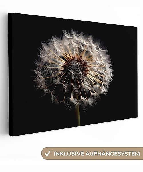 OneMillionCanvasses® Leinwandbild Blumen - Natur - Löwenzahn - Schwarz - Po günstig online kaufen