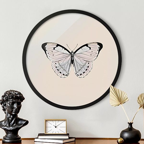 Rundes Gerahmtes Bild Schmetterling auf Beige günstig online kaufen