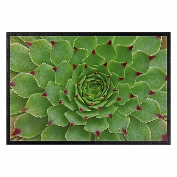 Fußmatte Succulent Pattern günstig online kaufen