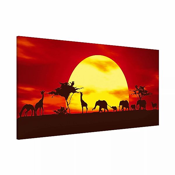 Magnettafel - Querformat 2:1 Sunset Caravan günstig online kaufen