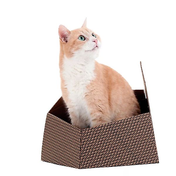 Katzenspielzeug United Pets Kitty Braun Box Pappe (30 X 30 X 32 Cm) günstig online kaufen