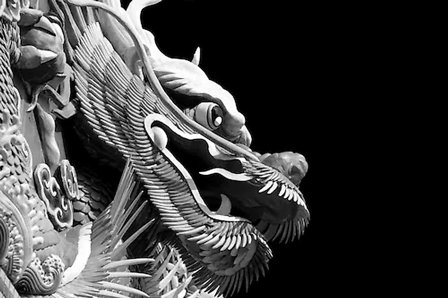 Papermoon Fototapete »Chinesischer Drache Schwarz & Weiß« günstig online kaufen