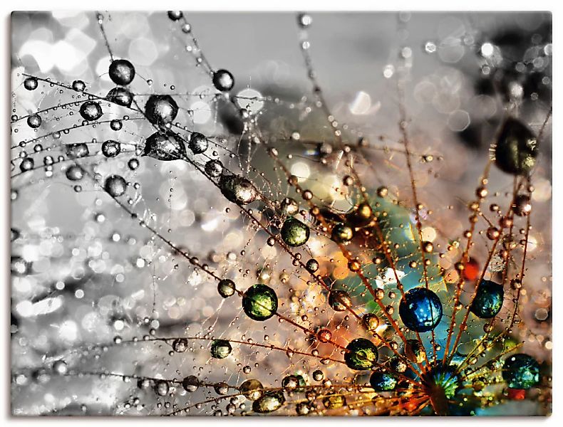 Artland Wandbild "Farbenfrohe Natur" Blumen 1 Stk. tlg. als Alubild, Outdoo günstig online kaufen