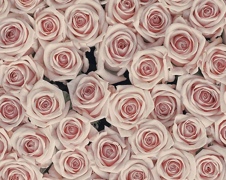 Fototapete "Antique Roses" 4,00x2,67 m / Glattvlies Brillant günstig online kaufen