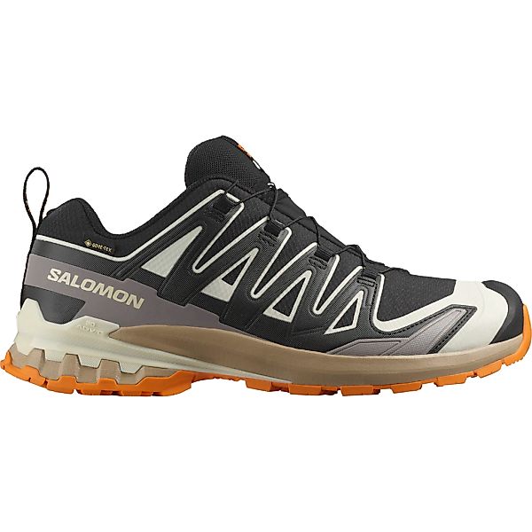 Salomon Laufschuh "XA PRO 3D V9 GORE-TEX" wasserdicht günstig online kaufen