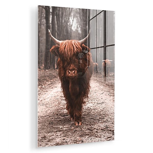 MuchoWow Acrylglasbild Schottischer Hochländer - Wald günstig online kaufen