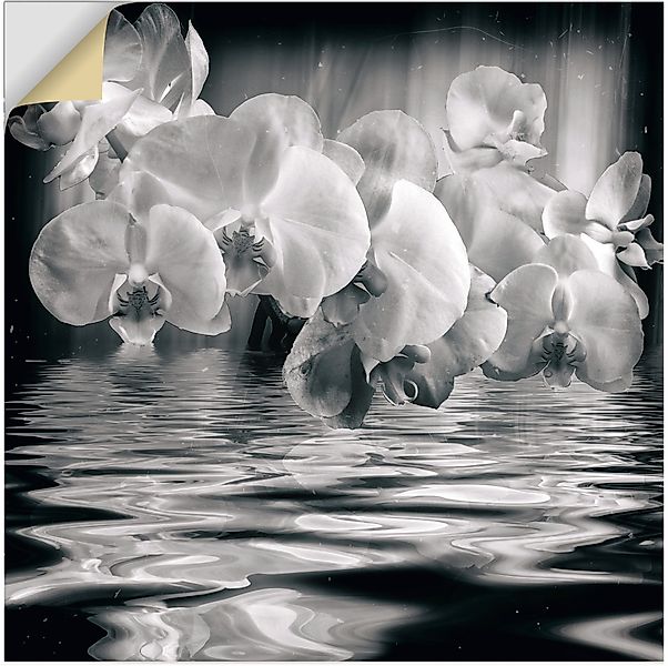 Artland Wandbild »Orchideen - monochrom«, Spa Bilder, (1 St.), als Leinwand günstig online kaufen