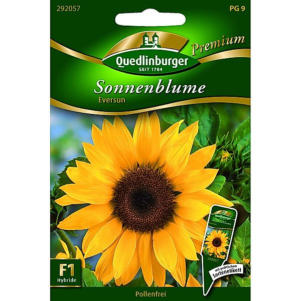 Quedlinburger Sonnenblume ''Eversun'' günstig online kaufen
