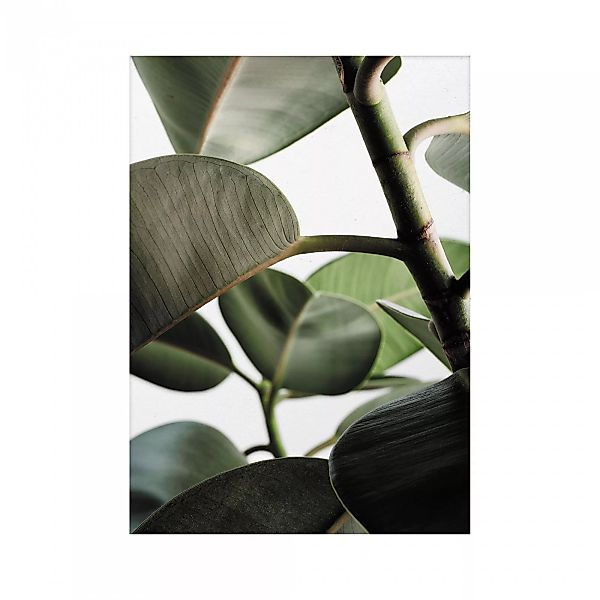 Paper Collective - Green Home 03 Kunstdruck 30x40cm - grün, weiß, grau, bra günstig online kaufen