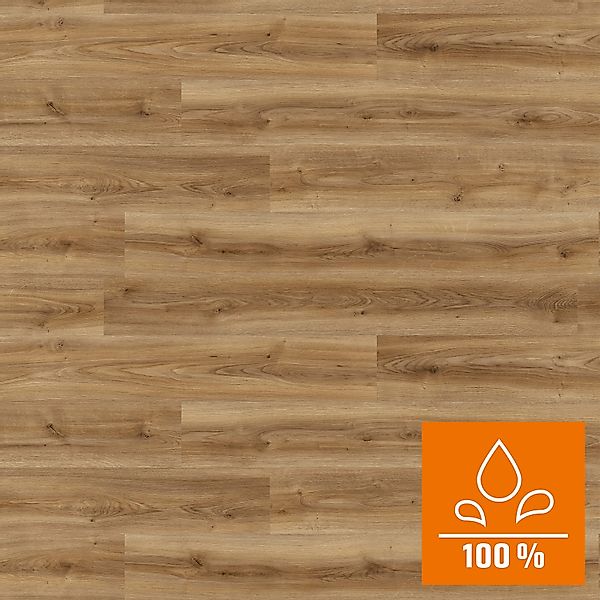 Kaindl Proganic Laminat 8,5 mm Wasserfest Eiche Cordoba Noble günstig online kaufen