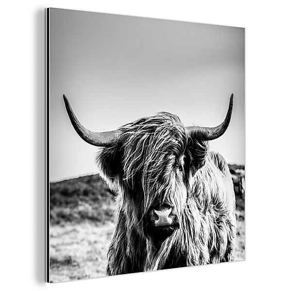 MuchoWow Metallbild Kuh - Schottischer Hochländer günstig online kaufen