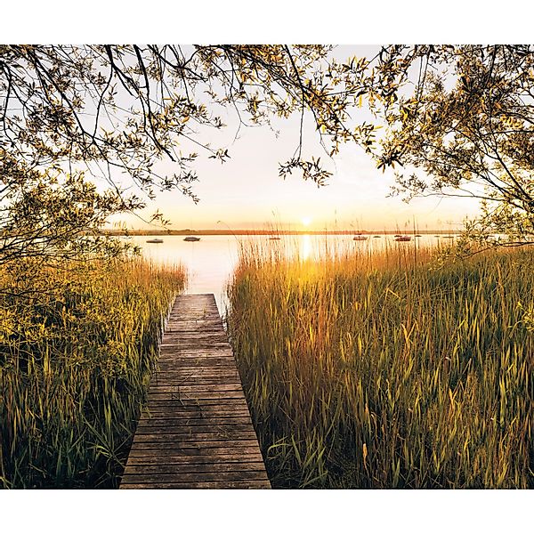 Komar Fototapete Vlies Lakeside  300 x 250 cm günstig online kaufen