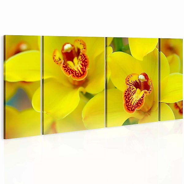 Wandbild - Orchids - Intensity Of Yellow Color günstig online kaufen