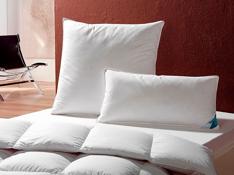 Haeussling Federkissen »Kuscheltraum Kissen soft, 40x80 & 80x80 cm«, Füllun günstig online kaufen