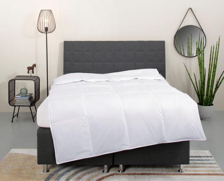 my home Daunenbettdecke "Cyra, Bettdecke 135x200 cm, 155x220 cm" leicht Fül günstig online kaufen