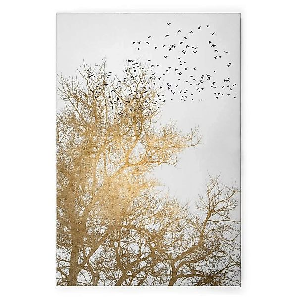 Bricoflor Leinwandbild Mit Baumkrone Vogelschwarm Wanddeko Bild In Gold Wei günstig online kaufen