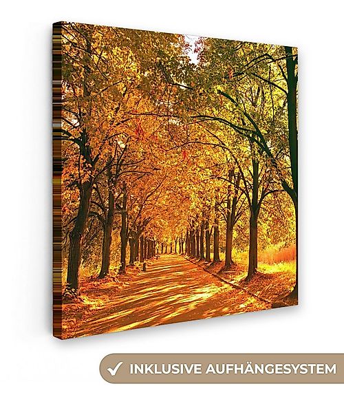 OneMillionCanvasses® Leinwandbild Wald - Herbst - Jahreszeiten - Ländlich, günstig online kaufen