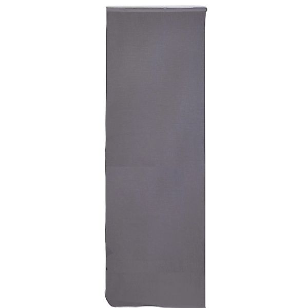 Arsvita Schiebegardine Desiré (1 St), Klettband, transparent, Flächenvorhan günstig online kaufen