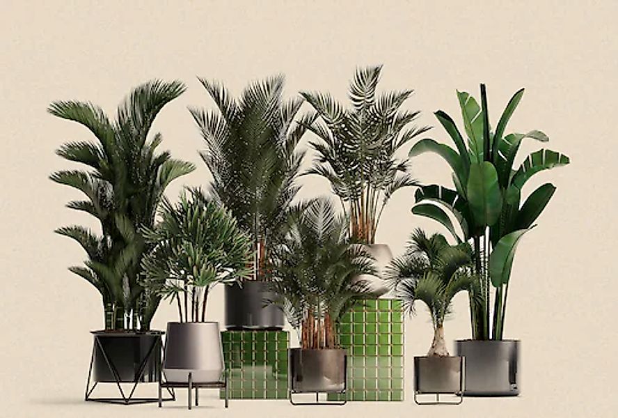 living walls Fototapete »Walls by Patel Plant Shop« glatt Vlies, Wand günstig online kaufen