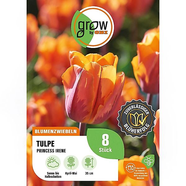 GROW by OBI Tulpe Prinses Irene Orange 8 Stück Tulipa triumph Prinses Irene günstig online kaufen