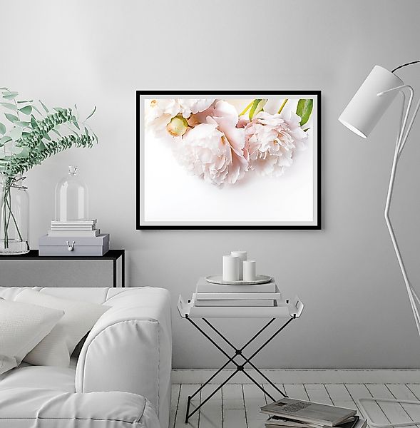 queence Bild »Maike«, Blumen, gerahmt, Rosen günstig online kaufen