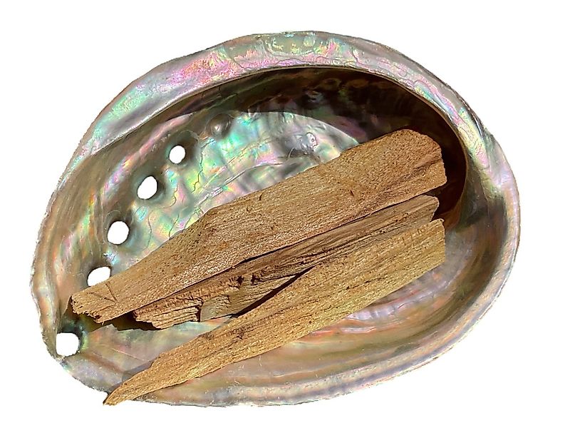Steinfixx® Dekoschale Abalone Paua Muschel I Räucherset mit Palo Santo Holz günstig online kaufen