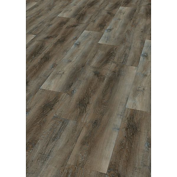 Check Click-Vinylboden Comfort Ladeburg Eiche günstig online kaufen